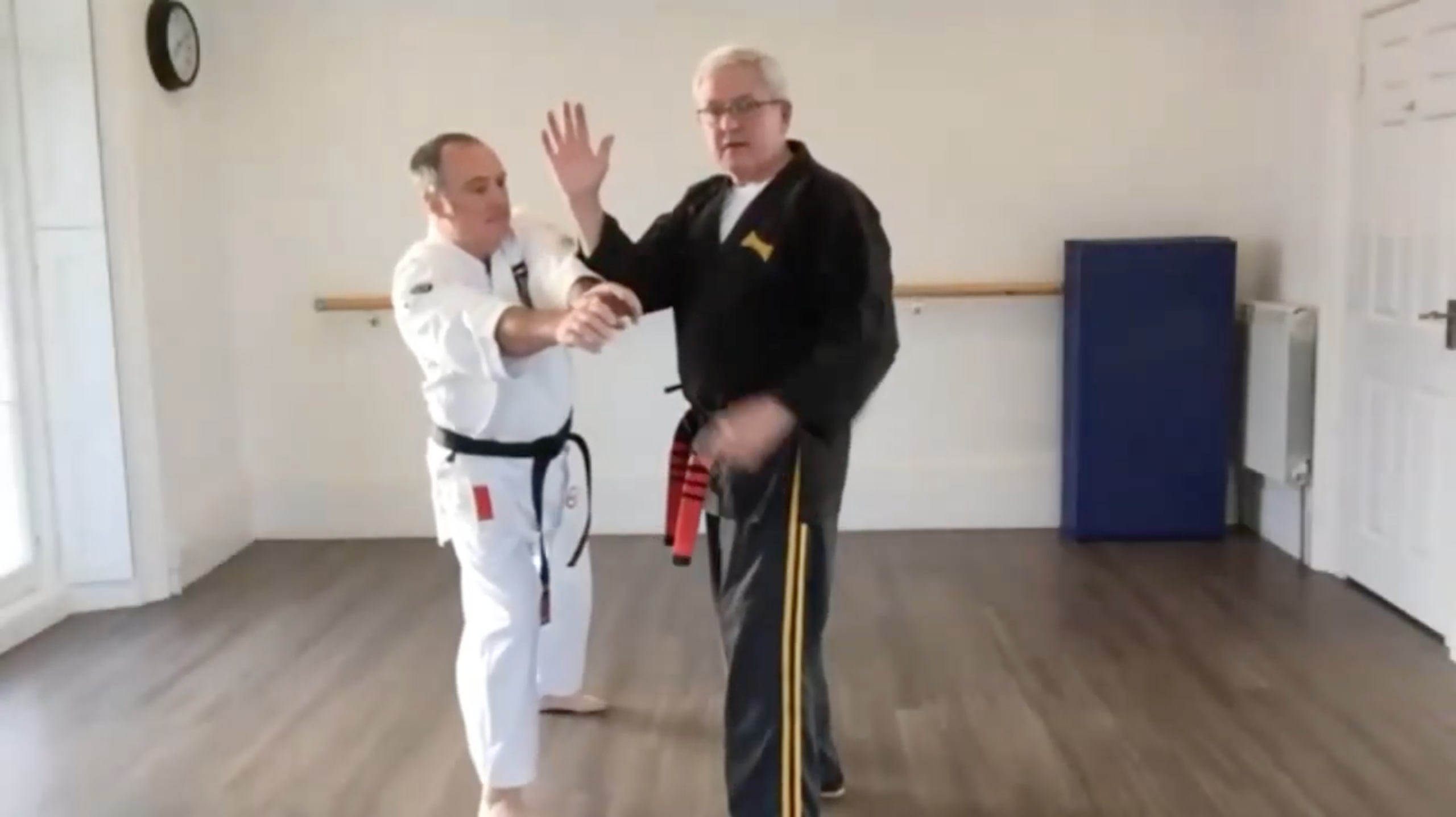 Kenpo Karate Strikes Back! Richard Matthews